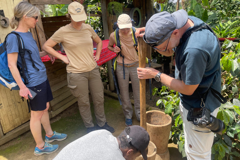 Arusha: Kaffeefarm-Tour mit Verkostung der lokalen Küche