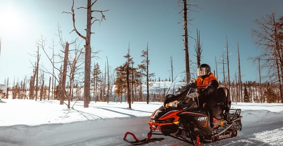 Saariselkä: Snowmobile Adventure for Adults