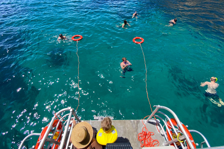 Cathedral Cove Coast and Cave Tour