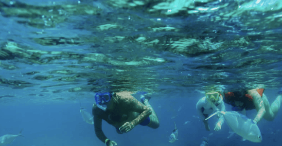 Punta Cana: Catamaran Cruise, Snorkeling, & Lunch