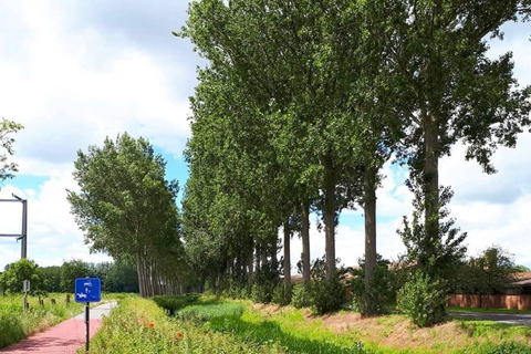From Bruges: Half-Day Guided E-Bike Tour to Dutch border