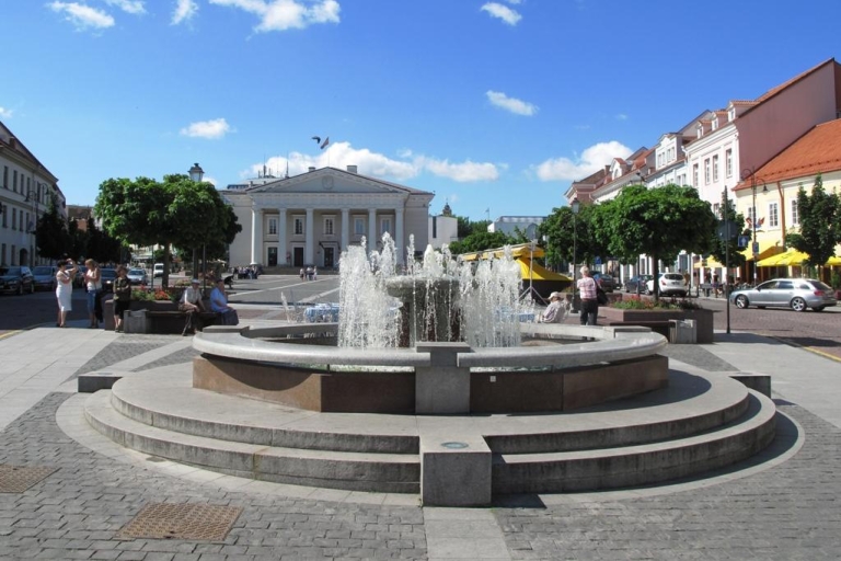 Vilnius: 2,5 uur durend privéstadsbezoek