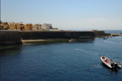De Alicante: Passeio de lancha rápida à ilha de Tabarca com snorkellingDe Alicante: Passeio de lancha rápida à ilha de Tabarca com mergulho em apneia