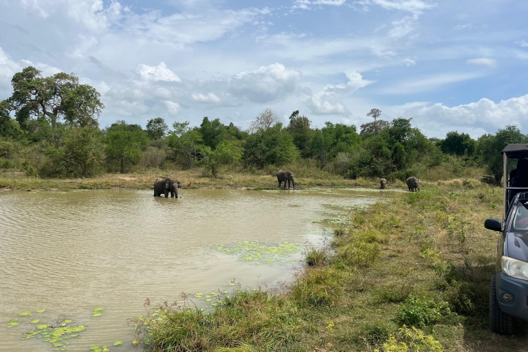 Safari por el Parque Nacional de Udawalawe desde Mirissa