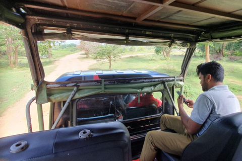 From Ella : Yala National Park Safari & Dropoff in Arugambay From Ella : Yala National Park Safari & Drop in Arugambay