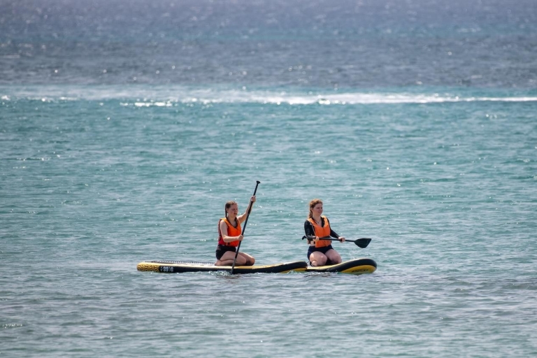 Fuerteventura: Verken Costa Calma Bay op een SUP Board!