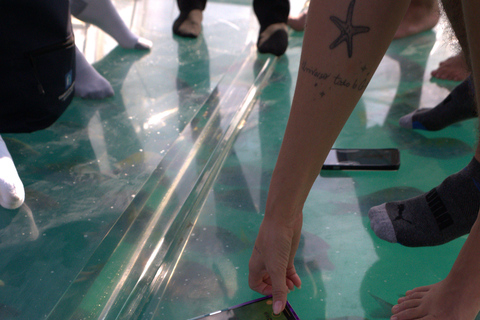 Discover Cabo San Lucas Clear Boat Glass Factory & Tequila