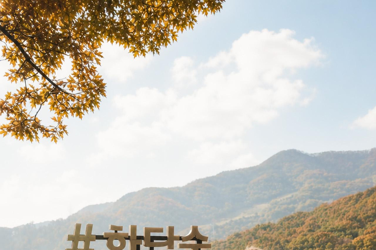 Seoul: Hwadam Forest & Namhansanseong & Korean Folk Village Private Tour (1-8 people Max)