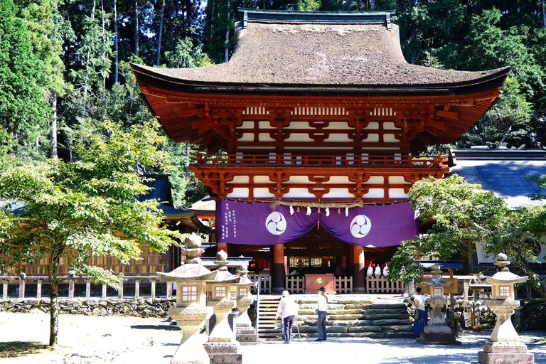 Koyasan Hidden Gems Day Trip From Osaka