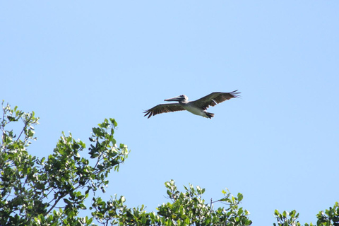 From Puerto Escondido: Day Trip to Chacahua National Park