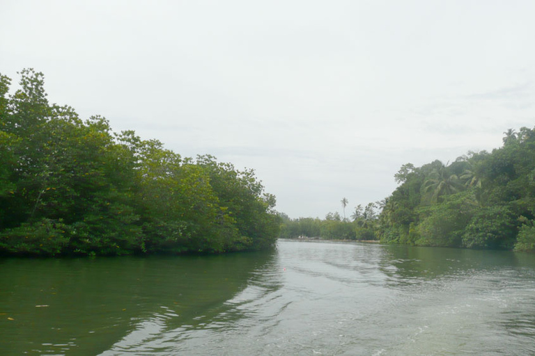 Stranden på västkusten, Mangroveflod i lagunen, båttur med vilda djur och växterMadu River Safari, Mangrove Lagoon &amp; Bentota Boat Tour