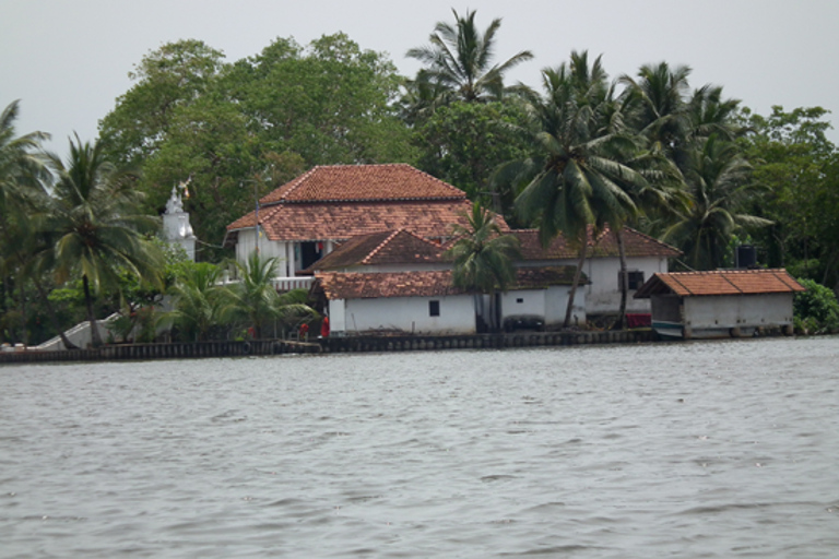 Madu Ganga : excursion en bateau sur la lagune des mangroves et Bentota