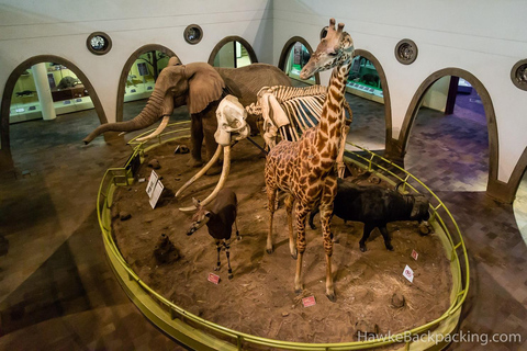 Visita ao Museu Nacional de Nairobi, ao Centro das Girafas e aos Bomas do Quénia