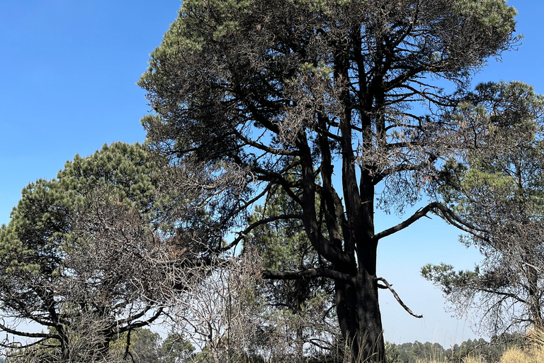 Visite du volcan Iztaccihuatl