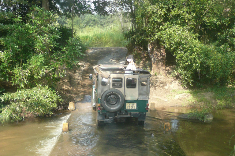 Multi-Day Tour: Udawalawe National Elephant Park Safari