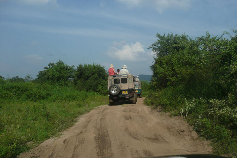 Sri Lanka: 2-dniowe safari w Parku Narodowym YalaSafari: Opcja ekonomiczna