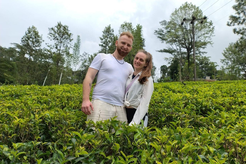 From Kandy: Ella Drop Tour via Nuwara Eliya From Kandy: Ella Drop Tour via Nuwara Eliya by Tuk Tuk