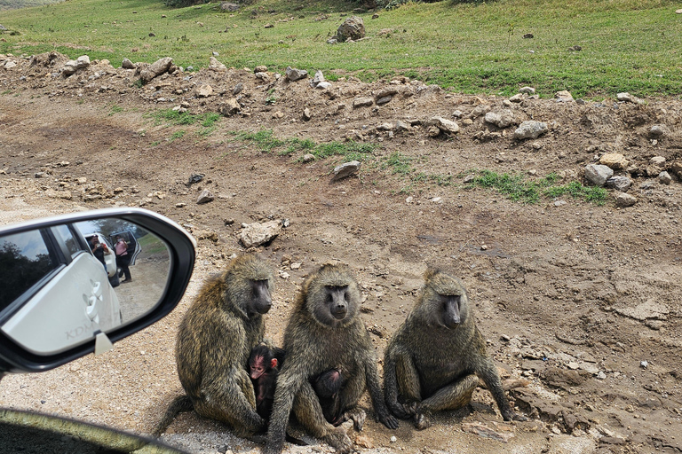 Parco Nazionale di Nairobi Tour per piccoli gruppiTour per piccoli gruppi del Parco Nazionale di Nairobi