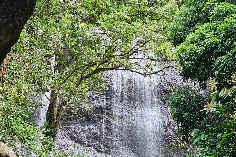 St. Lucia: Zipline Adventure Cruise Port and Hotel Pickup