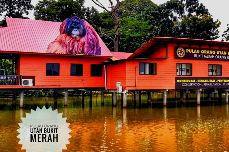 Penang: Cameron Highlands 3D2N Trip Private Group Tour