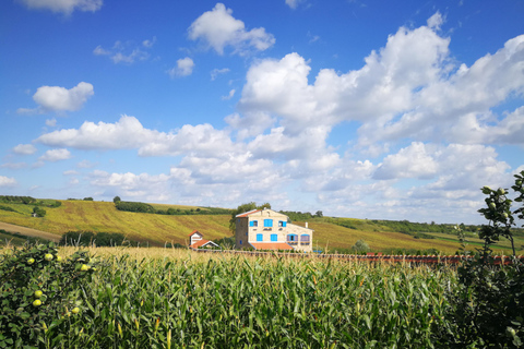 Serbia top attractions and highlights: 7-Days Tour