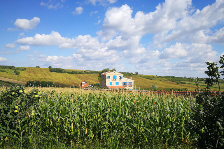 Serbia top attractions and highlights: 7-Days Tour