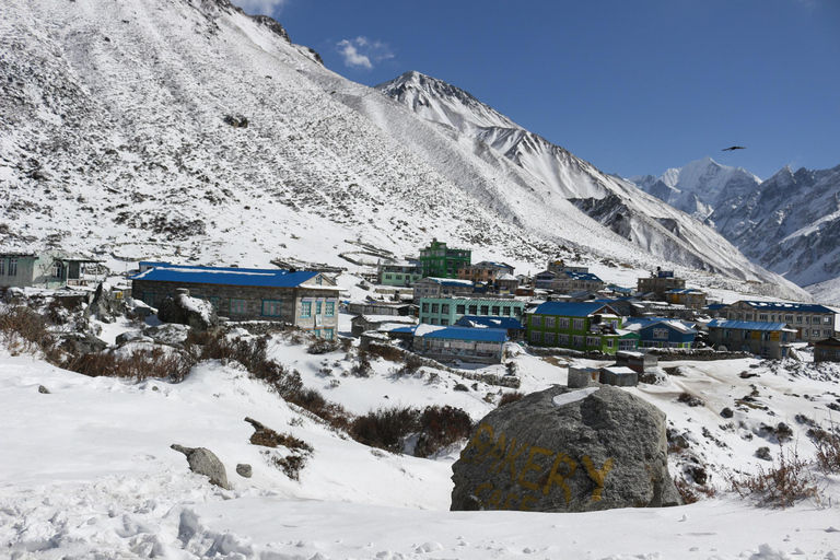 Katmandou : Randonnée de 5 jours dans la vallée de Langtang avec un guideKatmandou : randonnée de 5 jours dans la vallée du Langtang avec un guide