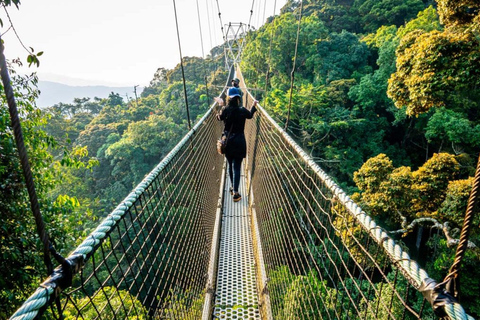 Kigali: 2-Day Nyungwe Canopy Walk, Zipline & Waterfall Tour