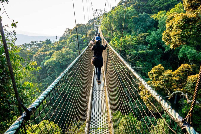 Kigali: 2-Day Nyungwe Canopy Walk, Zipline & Waterfall Tour