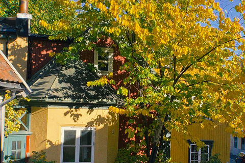 Oslo: Private Vintage Walking Tour with Photos Private Vintage Oslo Walk & Aesthetic Photos