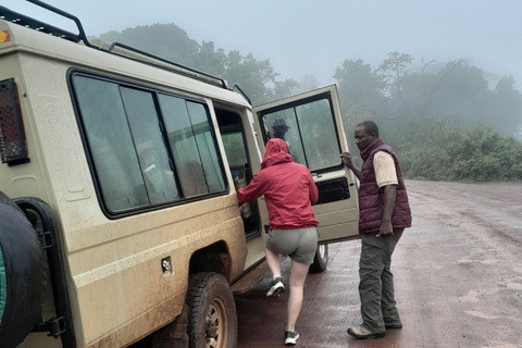 Nairobi: 2-Day Fly-In Safari to Arusha & Ngorongoro Crater