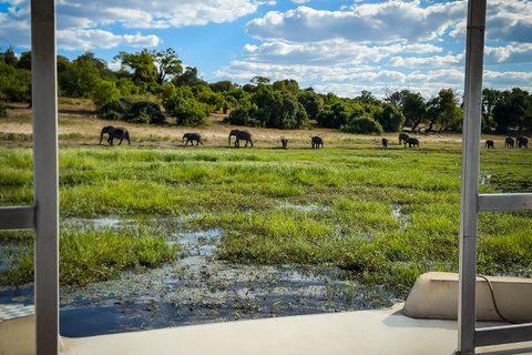 Desde las cataratas Victoria Excursión de un día a Chobe, Botsuana