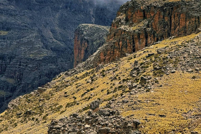 Lake Michaelson Hike and Mount Kenya Trekking Tour