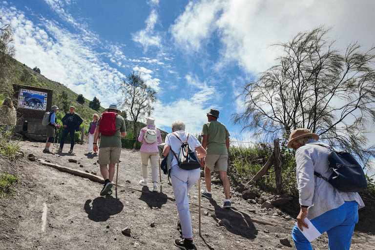 Mount Vesuvius Excursion: Skip-the-Line Ticket and Digital Guide From Naples: Bus, Skip-the-Line Ticket and Digital Guide