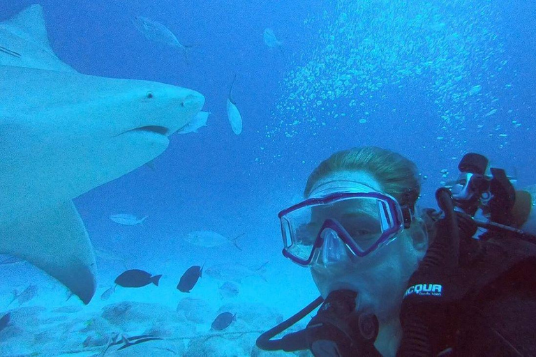 Playa del Carmen: Mergulho com tubarões-touro