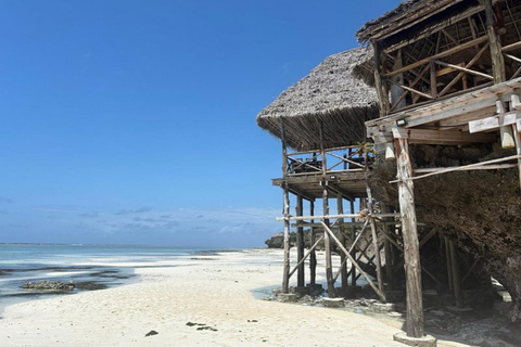 Zanzibar: foresta di Jozani, grotta di Maalum e tour della spiaggia di MtendeTour privato con servizio di prelievo e rientro in hotel incluso