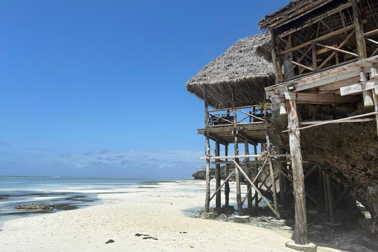 Zanzibar: foresta di Jozani, grotta di Maalum e tour della spiaggia di MtendeTour privato con servizio di prelievo e rientro in hotel incluso