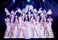VIP offer , Napoleon Dinner & Show at Paradis Latin Cabaret - Housity