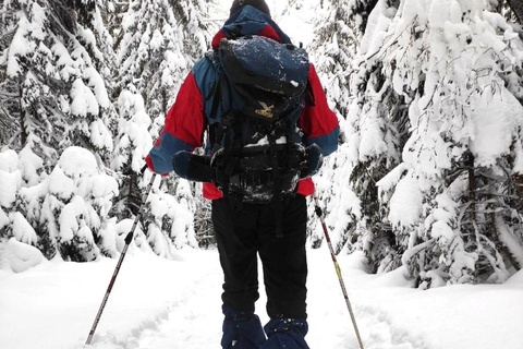 Levi: Snowshoe Survival Experience