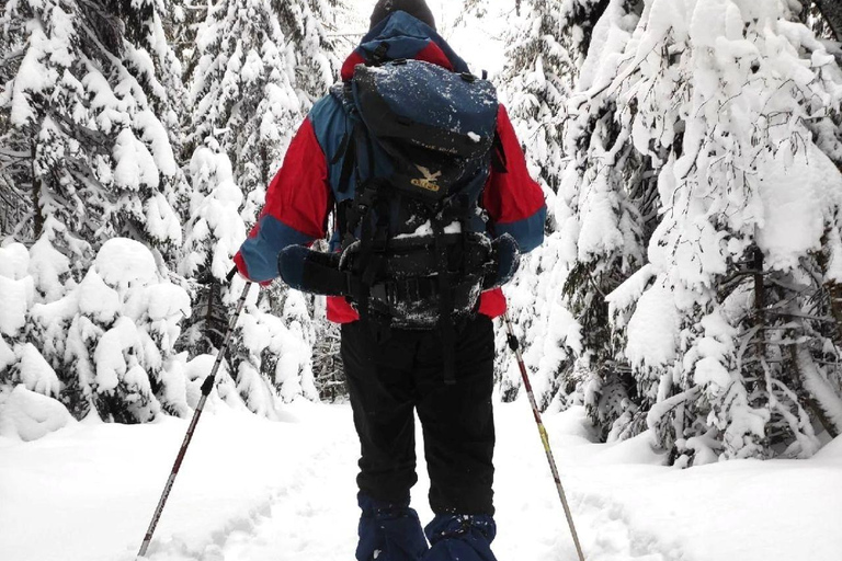 Levi: Snowshoe Survival Experience