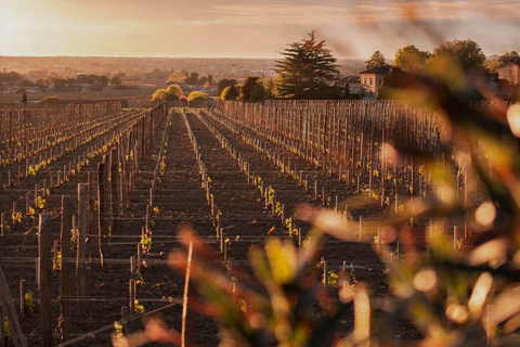 Saint-Emilion Evening Wine Tour