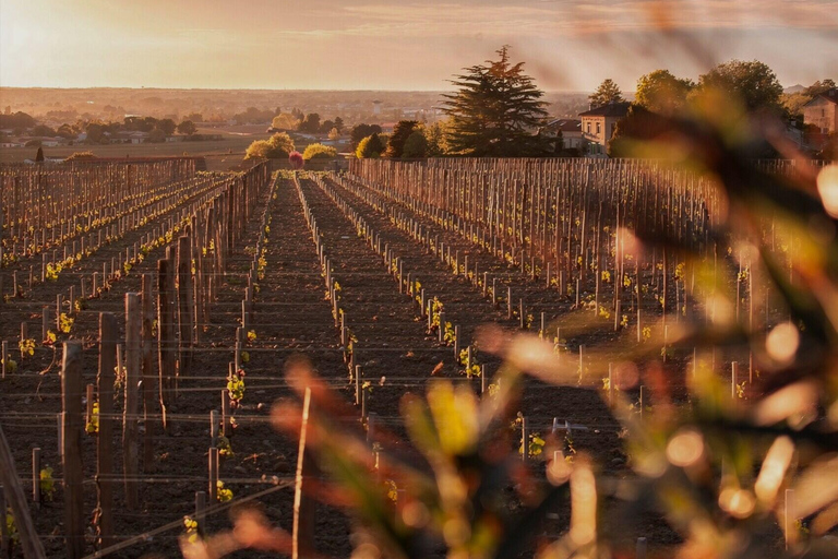Saint-Emilion Evening Wine Tour