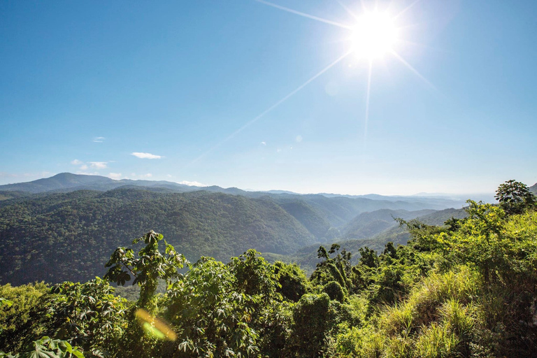 Visite d'une jounée des Montagnes Bleues (partagée/privée) - Principales attractionsJournée complète partagée entre Kingston et les Blue Mountains