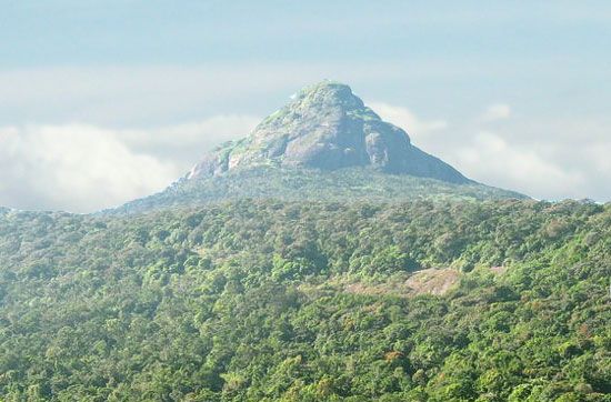 Sri Padaya Adam's Peak Sri Lanka  Cultural Tour Packages Sri Lanka