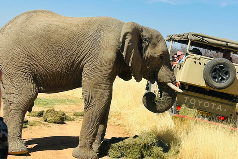 Namibia: 15 Days Guided Tour