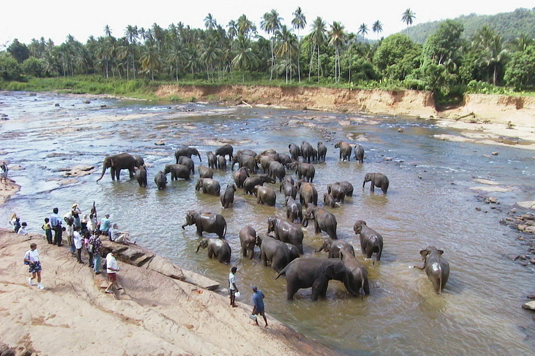 8-Day Sri Lanka Private Tour with Hotels, Train Ride &Safari