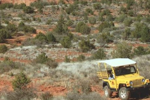 Sedona: Lil Outlaw Jeep TourPrivé jeeptour