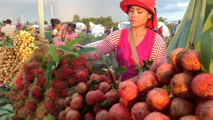siem reap evening street food tour