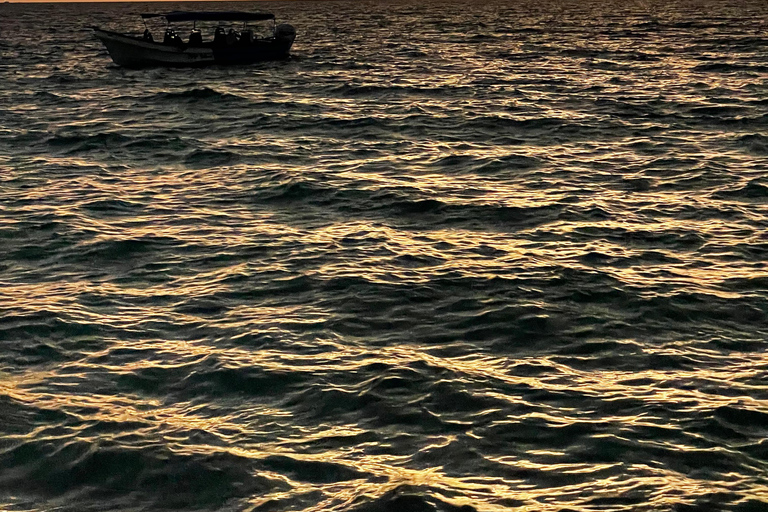 Tramonto a Baru: cena con plancton e un tramonto indimenticabile da Cartagena