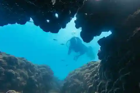 Acompanha: Mergulho, Museu Subaquático, 2 mergulhos incl. almoço